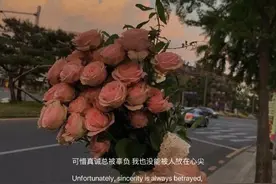 爱情这东西太极端，要么一生，要么陌生图片