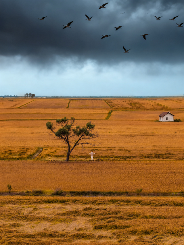 为了这些照片，我专门来了一趟东营！