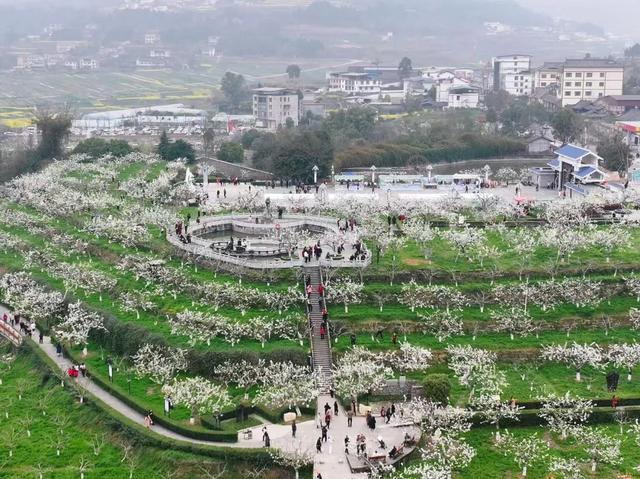 四川苍溪县:红色热土与山水田园的协奏新章