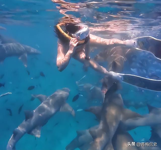 生理期潜水被鲨鱼咬伤后续：女子露面透细节，仍在感染中，已就医