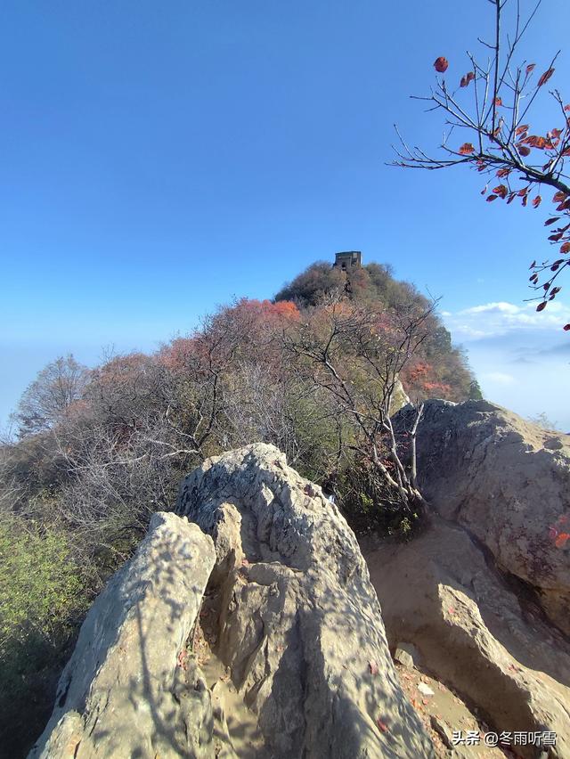 又见山山红叶飞