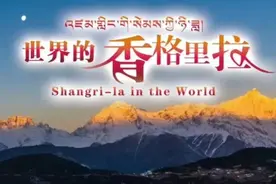 仙女的拖鞋：探秘迪庆十三种杓兰与高原花海奇缘图片