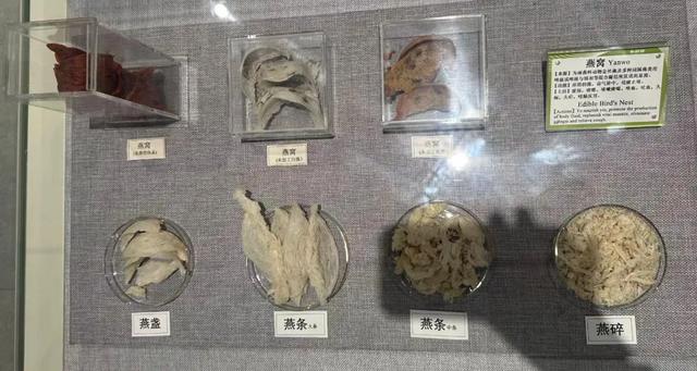 走，去中医药博物馆看玛瑙（说笑了~）