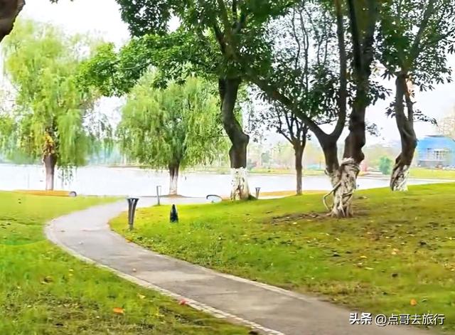 成都主城区最大人工湖，秋天超级惊艳，不要门票，地铁公交直达！