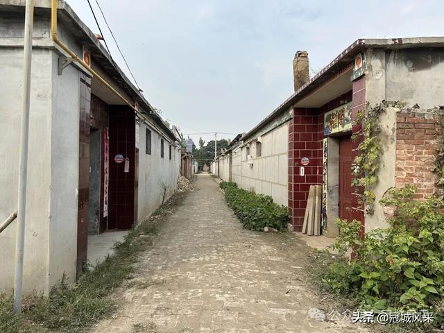 冠县乡韵·桑阿镇轧庄