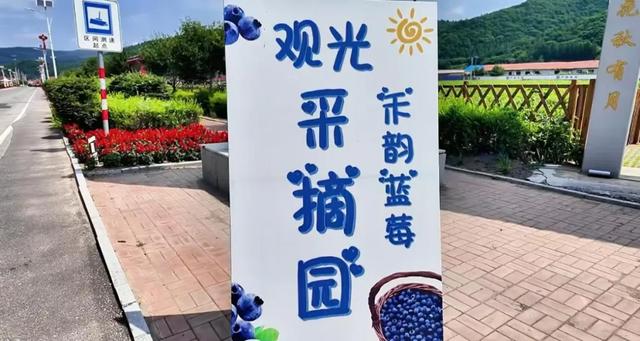 这里是东北抗联第一路军根据地的核心区域，通化大荒沟文旅小镇等你来！