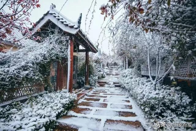冬享沂蒙过大年｜雪落沂蒙，山河藏暖