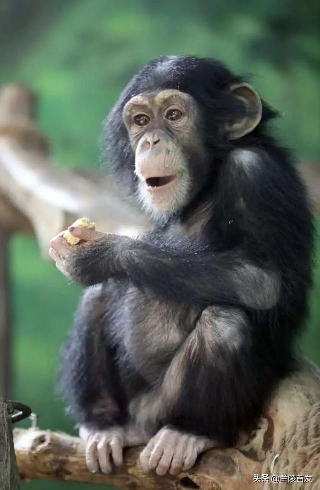 好客山东好品山东｜临沂遛娃去哪儿？初冬攻略收藏就出发～