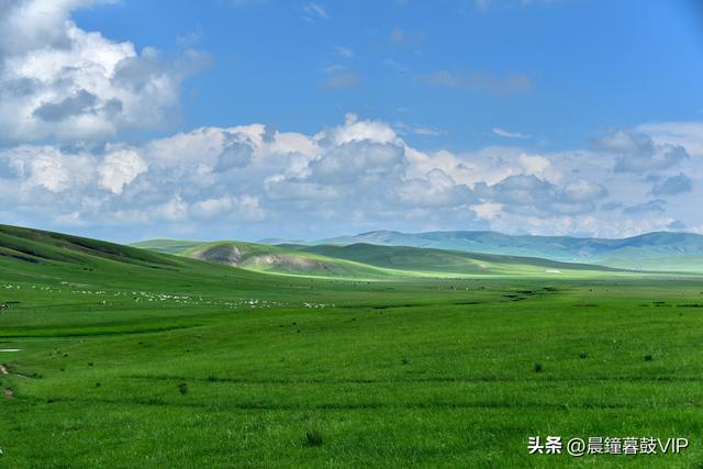 2025，二游内蒙