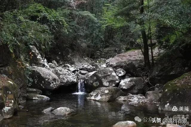 远上乌岩岭上斜,白云生处白云尖!温州这处秋日美景值得一去!