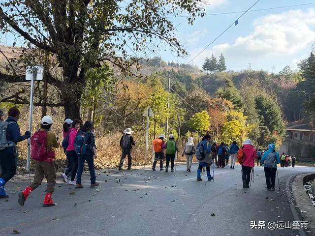 阳光明媚的冬日里,我们爬山去,逛陡坡村、看冬樱花,做晴朗的事