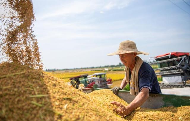 央媒通报！又一间谍行为曝光，作案手法阴险，粮食安全受威胁