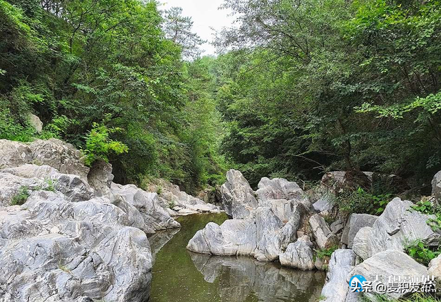 【东方微笑 多彩麦积】麦积区麦积镇后川村：夏日清凉景 引客共赴山水约