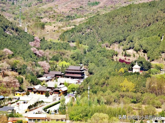 没想到在济南四门塔对面山顶上隐藏着唐僧师徒四人，知道是哪里吗