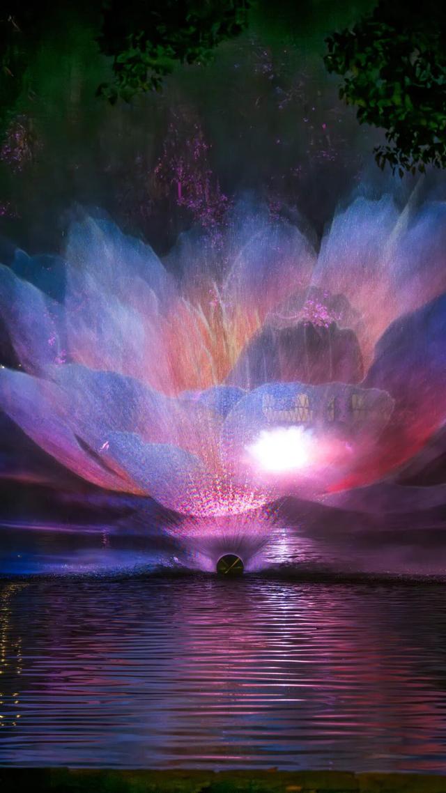 该错峰去乌镇过向往的冬天了