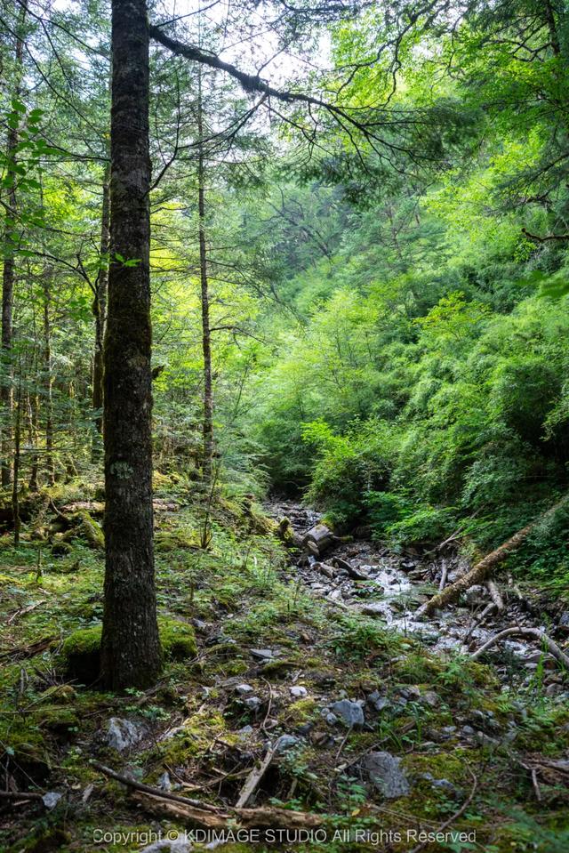 这个景区是九寨沟+黄龙的“隐藏彩蛋”?有超越5A级景区的风景?