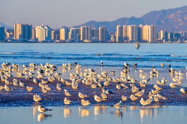 2025暑期爆火城市大盘点，第一个你绝对想不到！