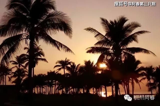 三亚晨曦里的美丽故事……