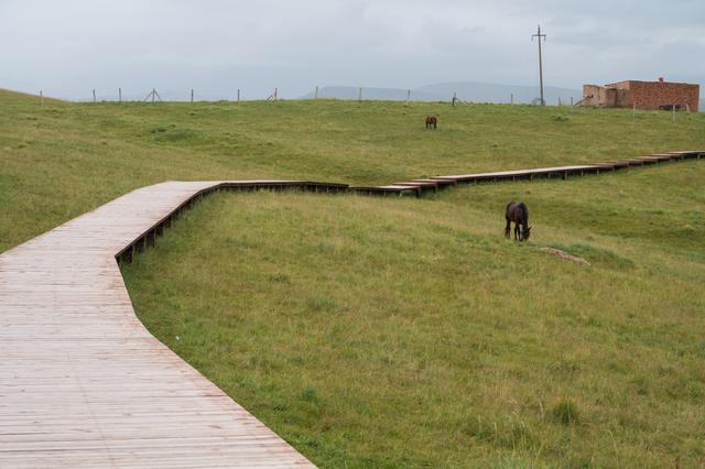 张掖山丹马场——祁连山脚下的大草原