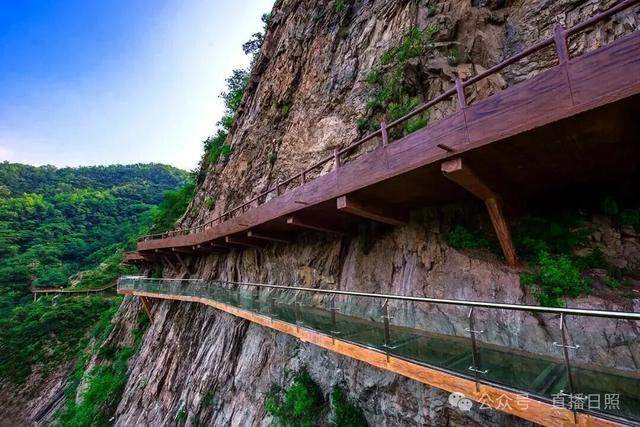 山东的阿勒泰私藏在日照！秋风一吹，如此绚烂！