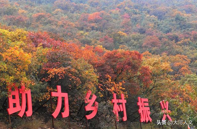 赵庄：红叶与五彩步道交织的秋日盛景