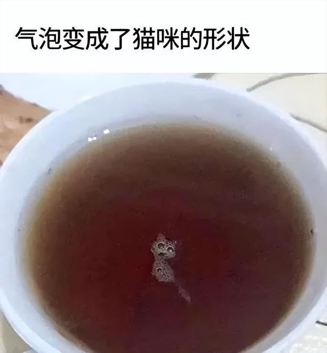 神回复：姐姐的腿不是腿，是塞纳河畔的春水。