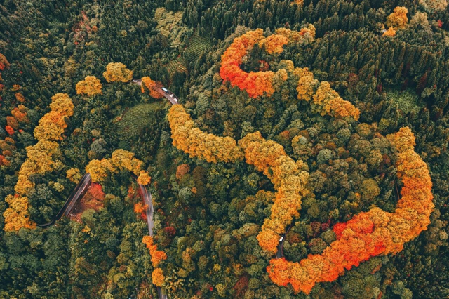 秋天还没过够？那就去乐山留住秋天！