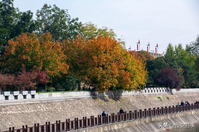 漫步在秋韵浓郁的环城公园（美图）