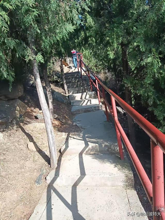 怒征西山公园，立在539.8米的顶峰