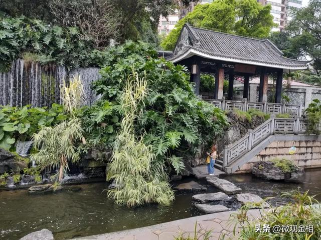 一年四季都可以去打卡的城市绿州麓湖