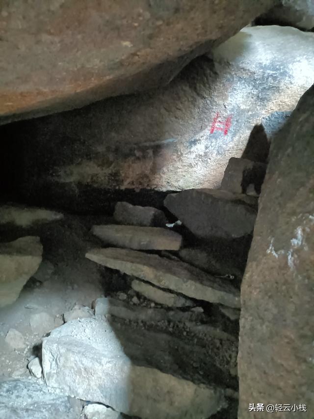 爬灵山石树感触到的（一）