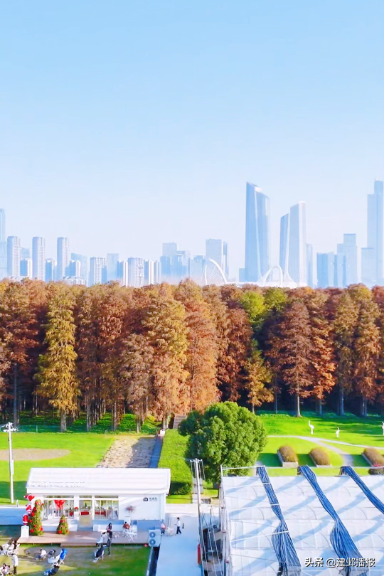 江 心 洲 秋 日 漫 游