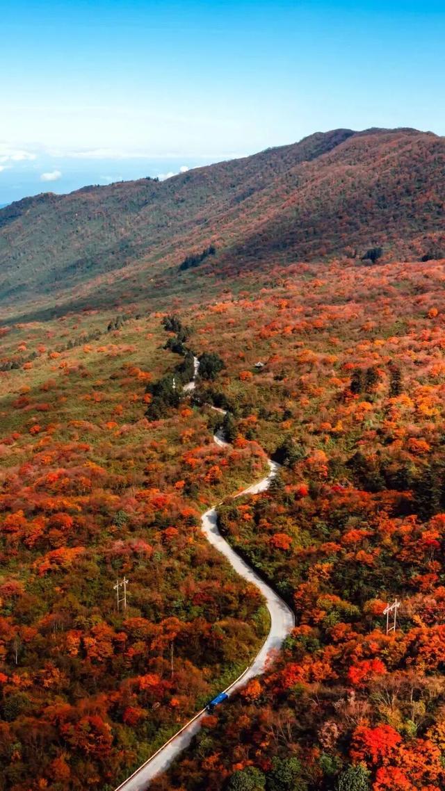 秋天还没过够？那就去乐山留住秋天！