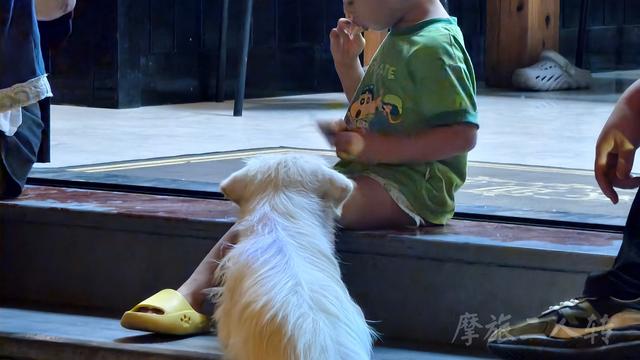 皖浙摩旅二人转——桐庐石舍村篇