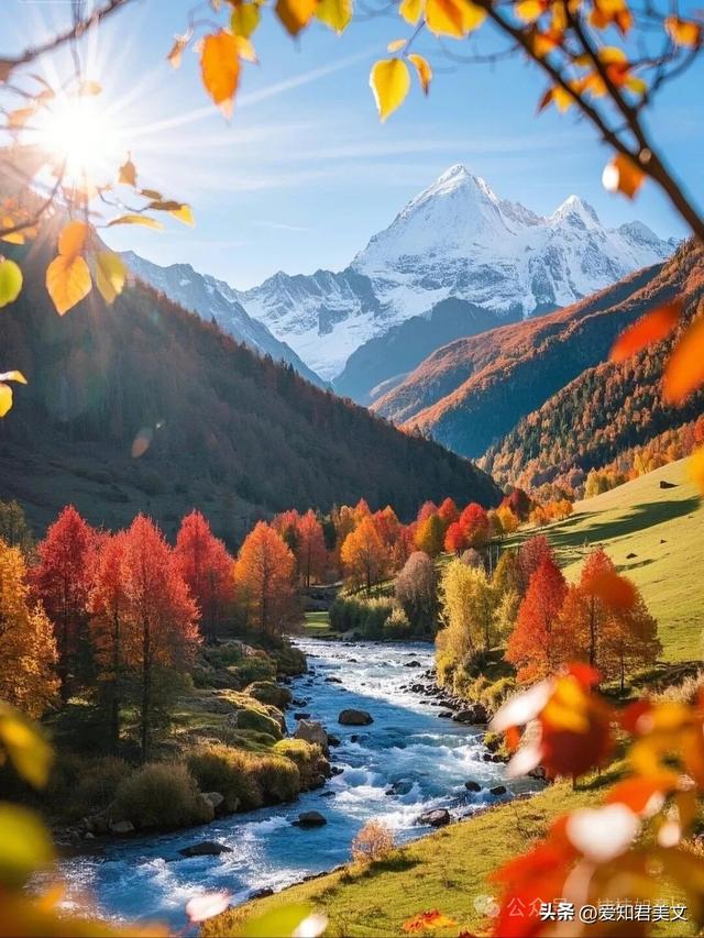 立冬到，在晚秋与初冬间徘徊，赏秋之绚烂与冬之静谧