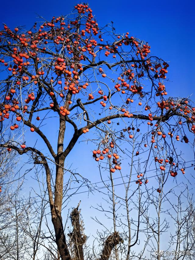 蓝田连导航都没有的路，我小半天竟然过了5个峪口！也是长本事了