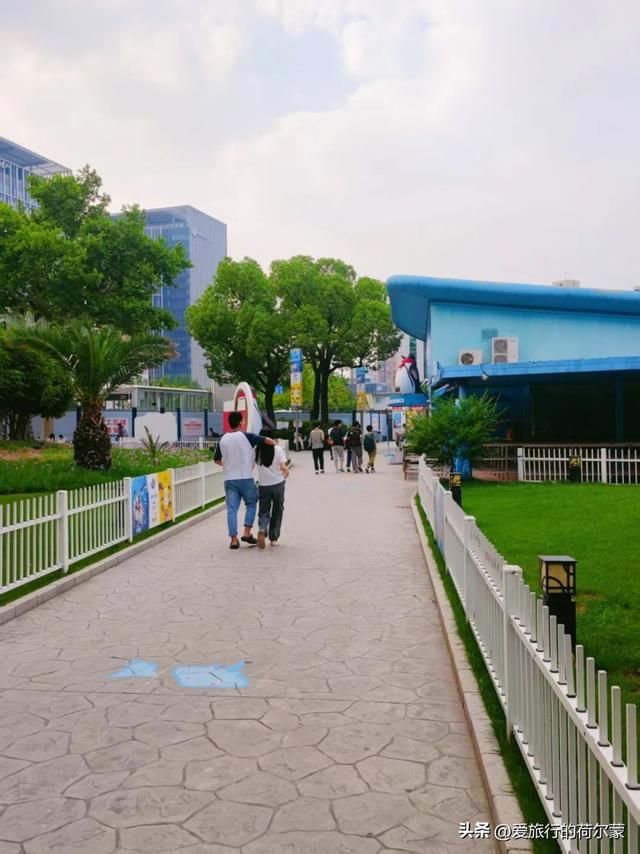 在上海终于看到了！一座建在市中心的巨大公园！