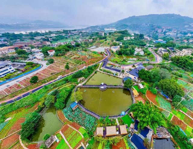 地名里的重庆 | 大渡口建胜镇,一个以“胜”为名的镇