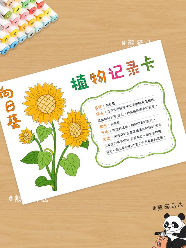 植物记录卡手抄报合集 01 💐