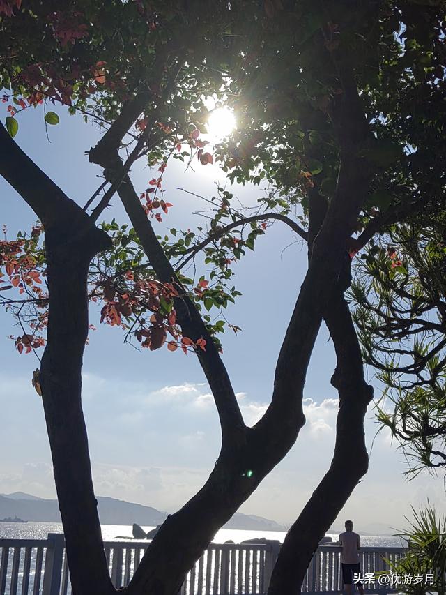 厦门旅游，值得👍