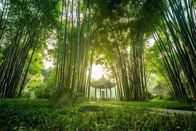 官宣！肇庆一大批景区免门票！这些人有福啦→