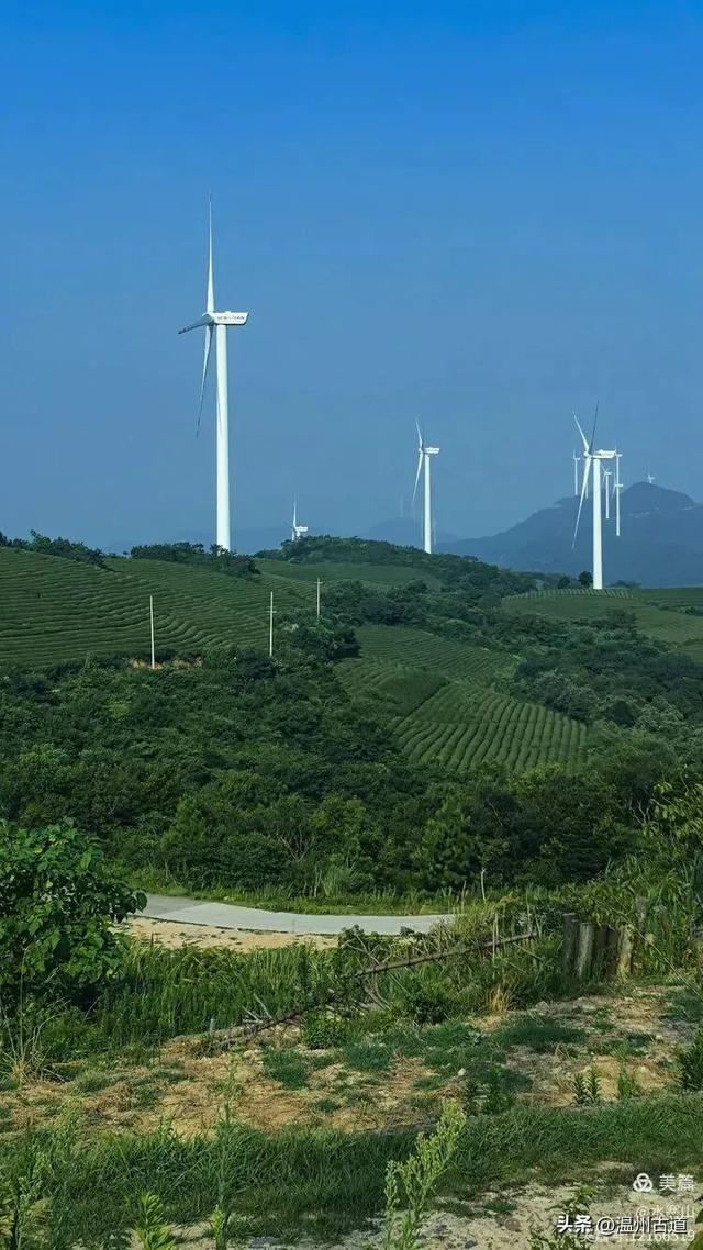 灵脉四合，飘渺仙境！浙江这座隋代古刹灵泉寺你可曾听闻过？