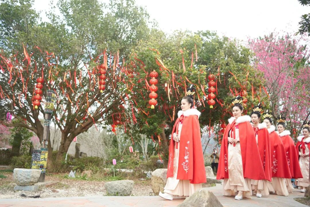 龙岩周末去哪儿｜看游龙、赏樱花，本周末必冲的两大惊喜目的地→