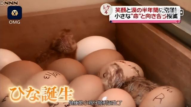 扎实研学，遇见“诗与远方”