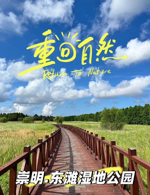 上海5个遛娃的好地方，周末必须带孩子去玩一次，赶紧收藏！