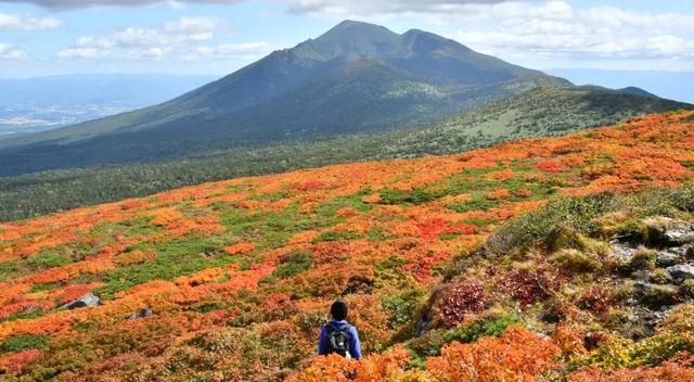 2025日本赏红叶攻略已出！附北海道、东北5大赏红叶景点~