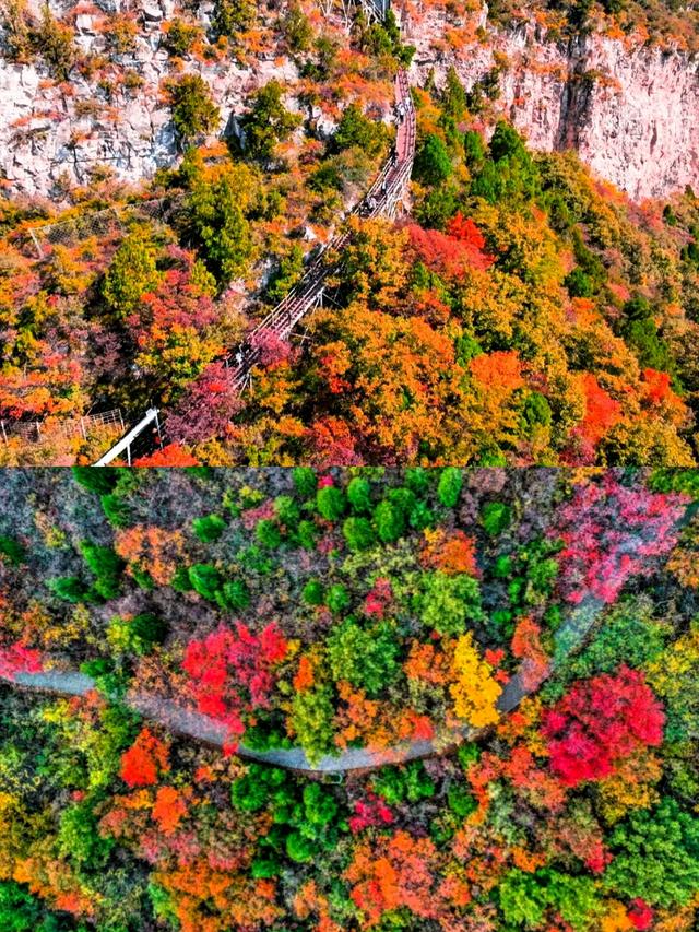 云台山放大招了！国庆没玩爽？免费重游速领，秋景真的超级绝！