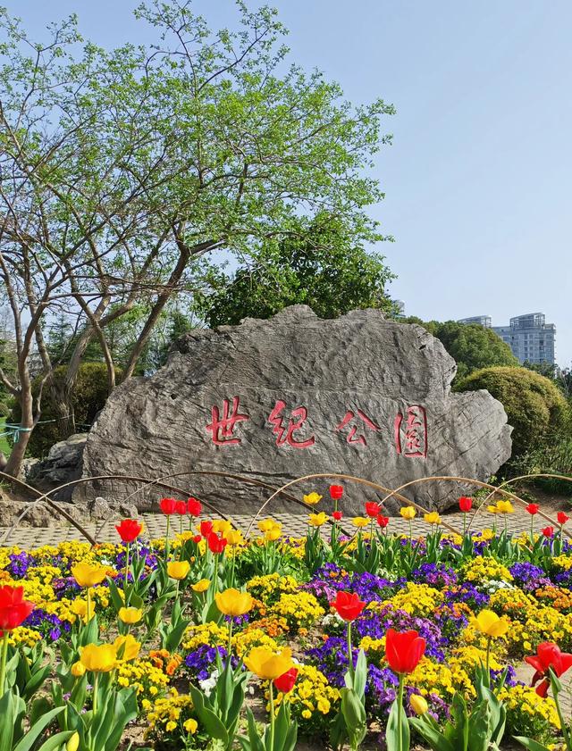 上海藏得太深了！市中心10亿打造的公园，免费开放！
