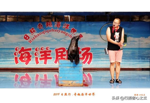 山东行游影记（92）—日照奇趣海洋世界（三）