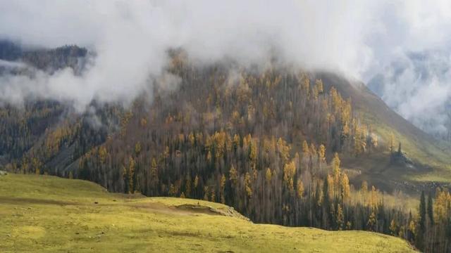 云雾缭绕 喀纳斯驼颈湾